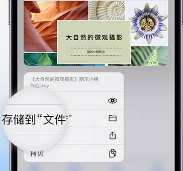 南口街道apple维修中心分享iPhone文件应用中存储和找到下载文件