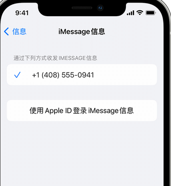 南口街道apple维修iPhone上无法正常发送iMessage信息 