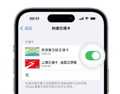 南口街道apple维修点分享iPhone上更换Apple Pay快捷交通卡手绘卡面 