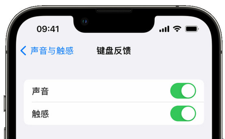 南口街道苹果手机维修分享iPhone 14触感键盘使用方法 