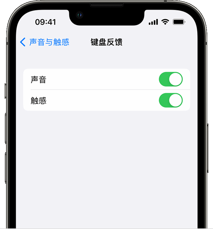 南口街道苹果14维修店分享如何在 iPhone 14 机型中使用触感键盘 