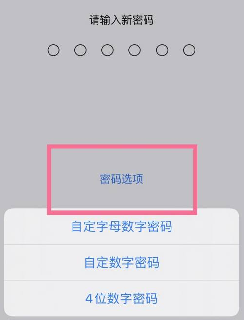 南口街道苹果14维修分享iPhone 14plus设置密码的方法 