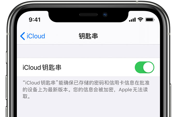 南口街道苹果手机维修分享在 iPhone 上开启 iCloud 钥匙串之后会储存哪些信息 