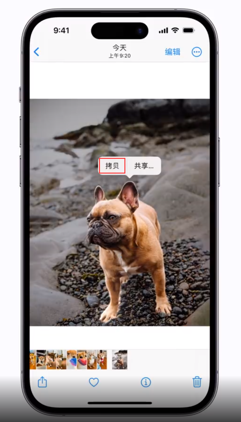 南口街道苹果手机维修分享 iOS 16 自带一键抠图功能 