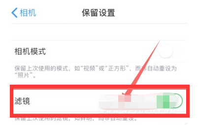 南口街道苹果13维修分享iPhone13拍照有绿点是怎么回事 